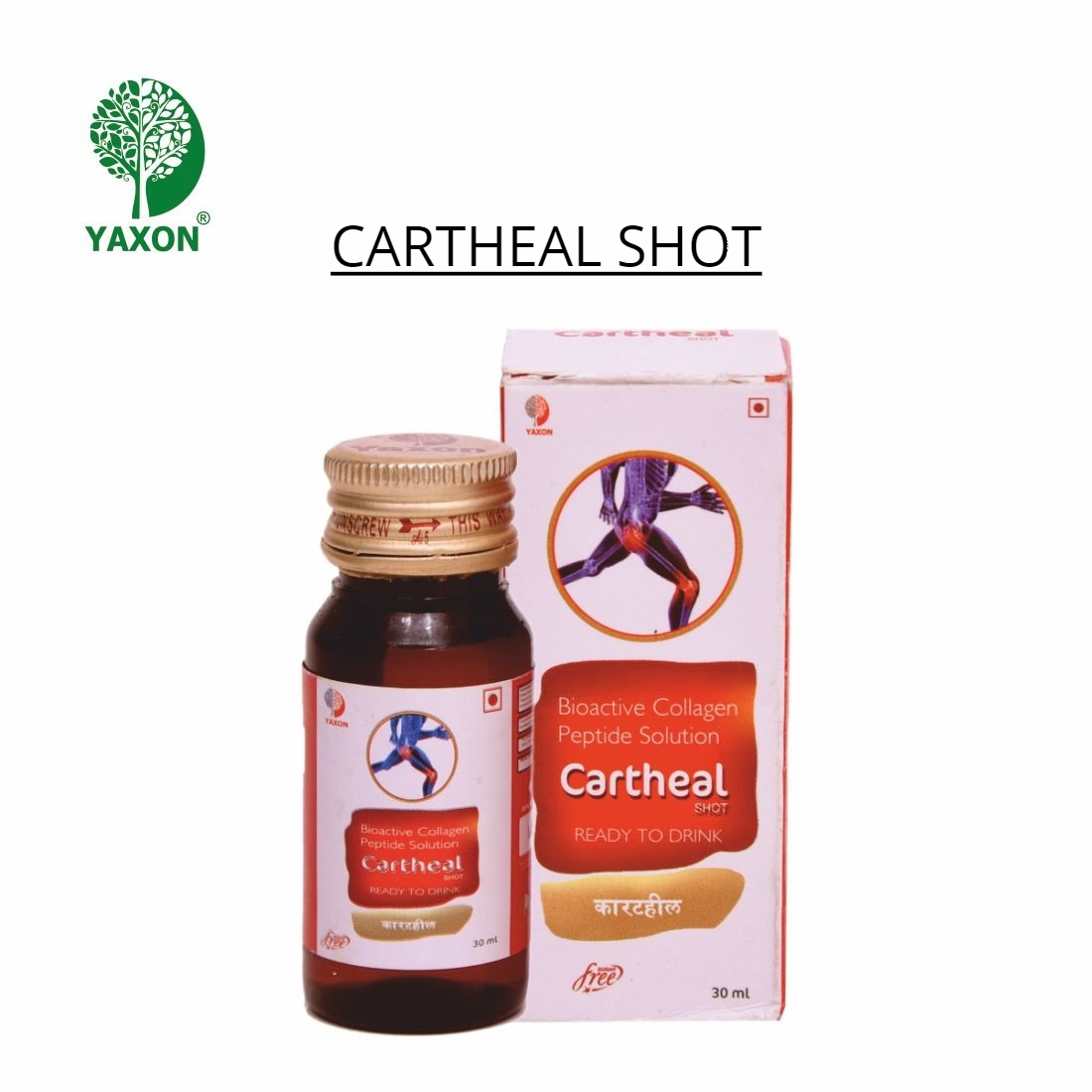 YAXON CARTHEAL SHOT Syrup